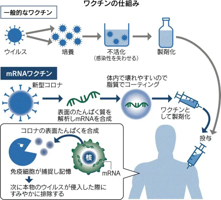 新型コロナのワクチンって今までと何が違うの？
