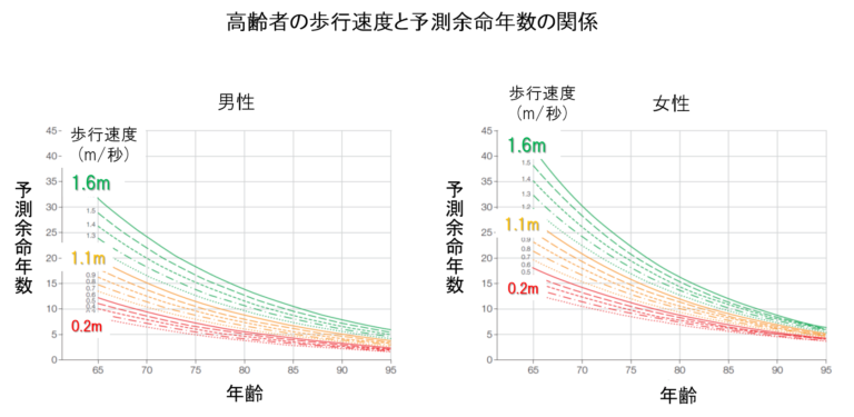 高齢者の歩行速度と予測余命年数の関係