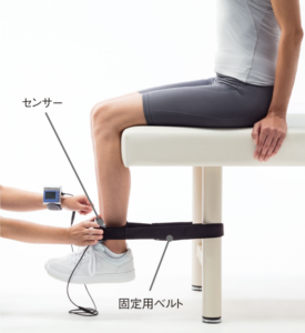 等尺性膝伸展筋力