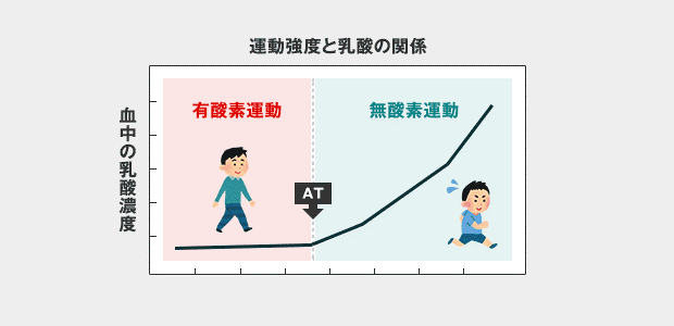 運動強度と乳酸の関係